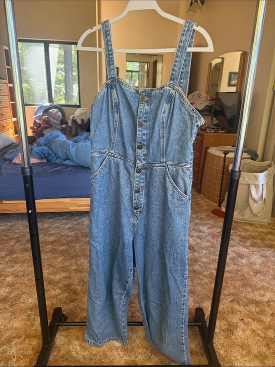 BDG Pants - BDG overalls